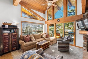 Télévision, cheminée, chaîne hi-fi