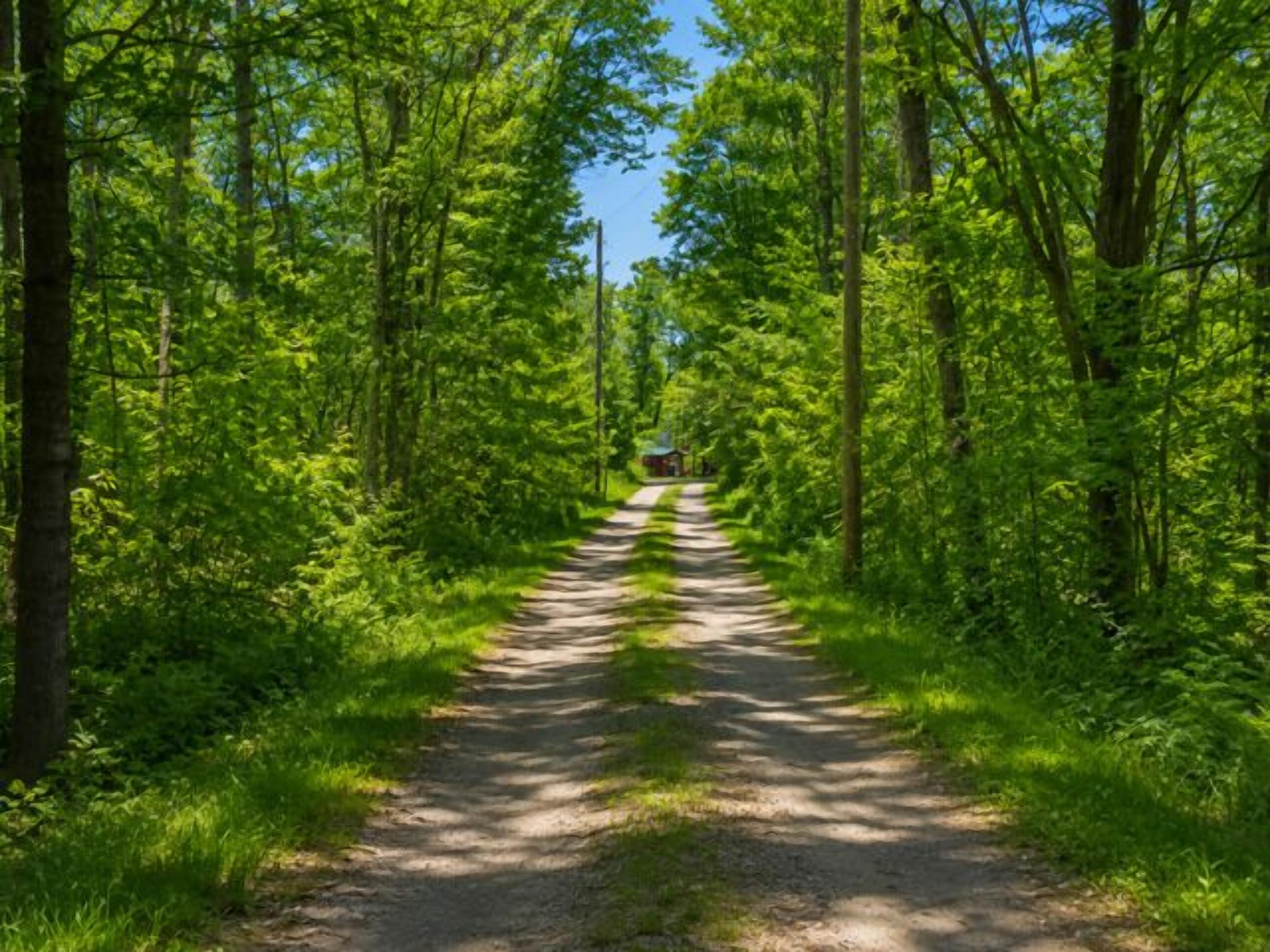 Miscelánea