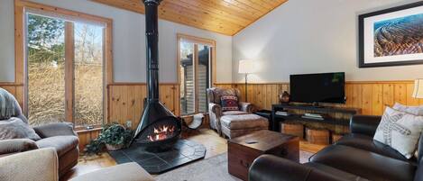 Televisor intel·ligent, llar de foc i llibres