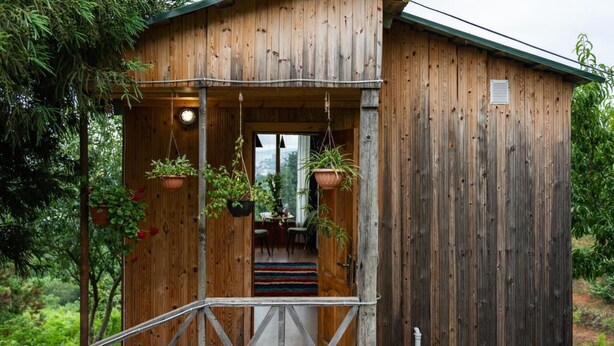 A wooden cabin with a porch, potted plants, and a staircase leading to the entrance. - Greenland Pheria - Cabin near Batumi (Batumi)