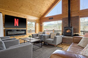 TV connectée, cheminée, lecteur de DVD, livres