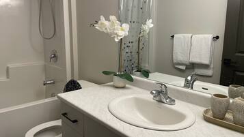 Hair dryer, towels, soap, toilet paper