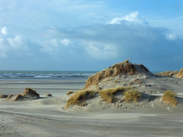 A beach with sand dunes and the ocean in the background. - Beautiful nature gite, chalet atmosphere, with large garden, Arrest, Baie de Somme, (Arrest)