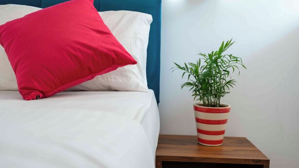 A bed with a red pillow and a striped plant pot on a wooden nightstand. - Morjim Sea Waves (Morjim)