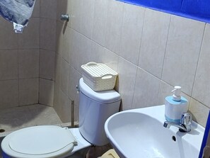 Secador de pelo, toallas, jabón y champú