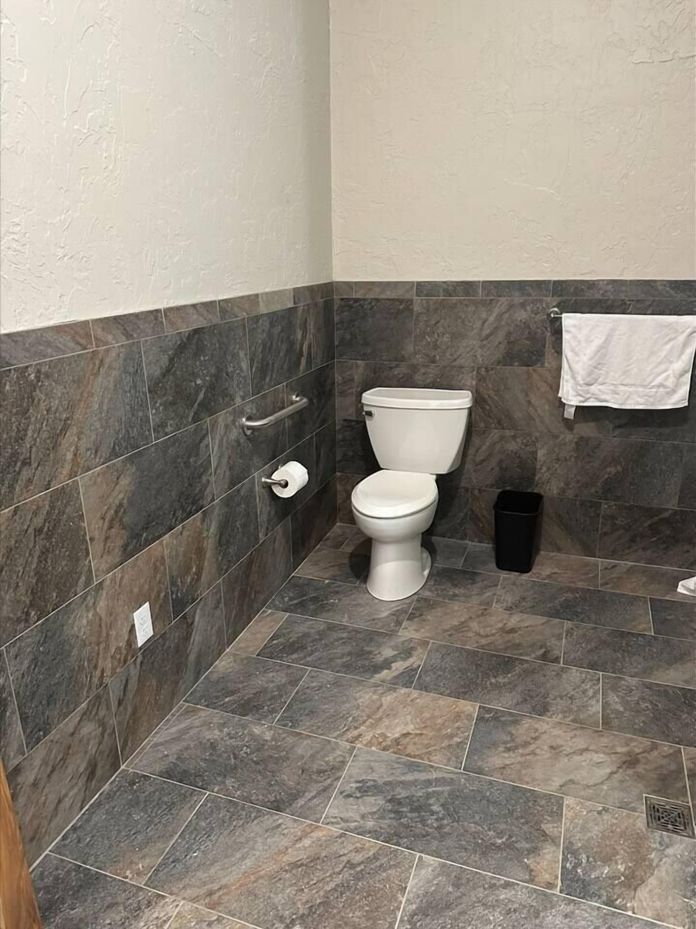 Et badeværelse med et hvidt toilet, vægge med mørke fliser og et flisegulv.