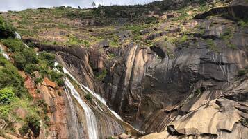 Una cascada que esclata per una escarpada roca, envoltada de vegetació.