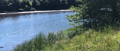 A river with a grassy bank and houses in the background.