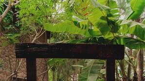 Un sendero de madera que atraviesa un jardín con plantas de banano y un muro de piedra.