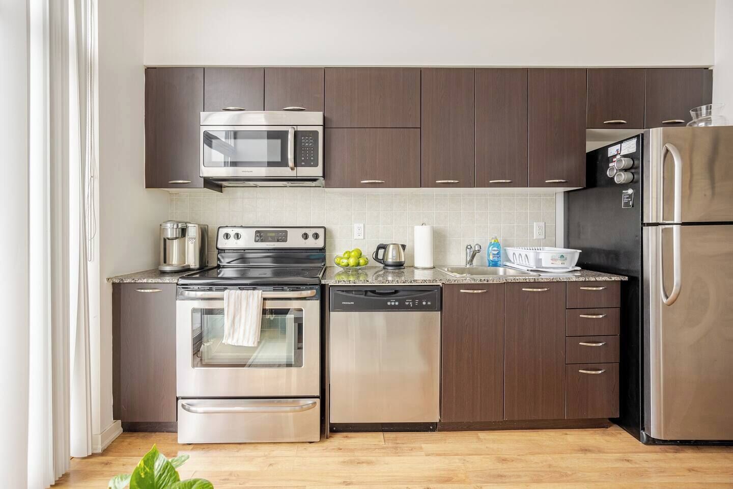 A modern kitchen with stainless steel appliances, dark wooden cabinets, a granite countertop, and a visible plant.