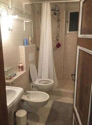 淋浴设施、吹风机、坐浴桶、毛巾