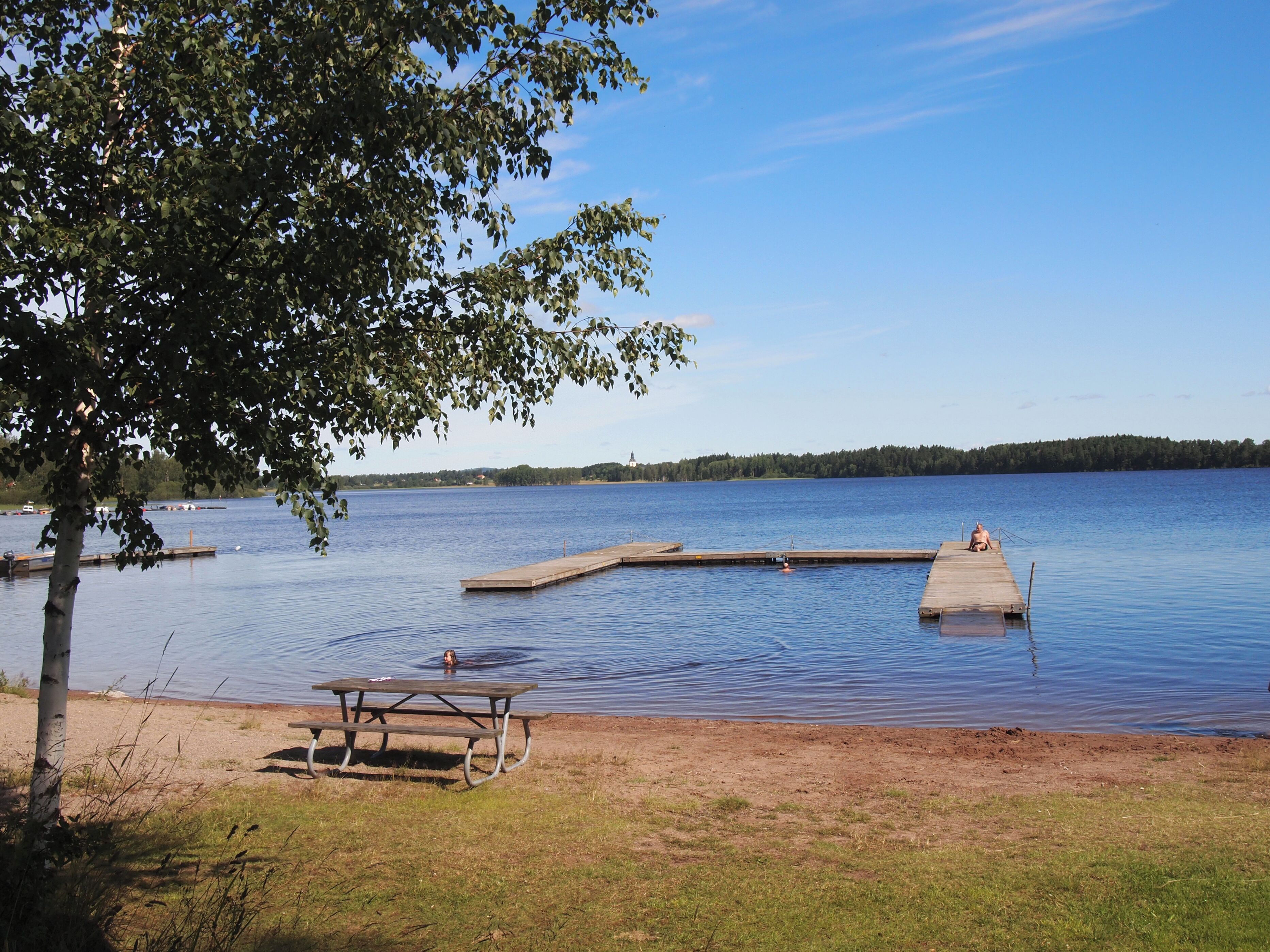 A lakeside setting with a wooden dock extending into the water, a picnic table, and a tree providing shade.
