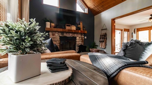 A cozy living room with a stone fireplace, leather sofas, and a potted plant.