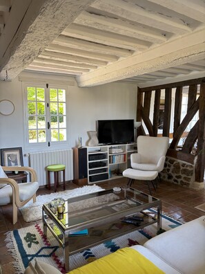 TV, fireplace, table tennis, books