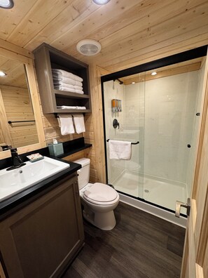 Shower, hair dryer, towels, soap