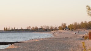 A beach with people, a pier, and trees. - The Harbor Hideout - Riverside home near Beaches, Pier, downtown shops (St. Joseph)