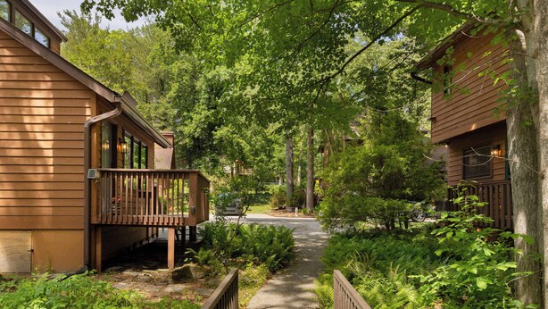 A wooden cabin with a deck, surrounded by dense greenery and a pathway. - Cozy Cottage 2 min to WNC AG Center Pet Friendly (Fletcher)
