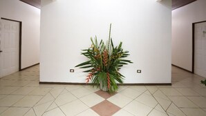 A hallway with a large potted plant in the center, white walls, and a tiled floor. - Ukinca Hostel (Bahía Ballena)