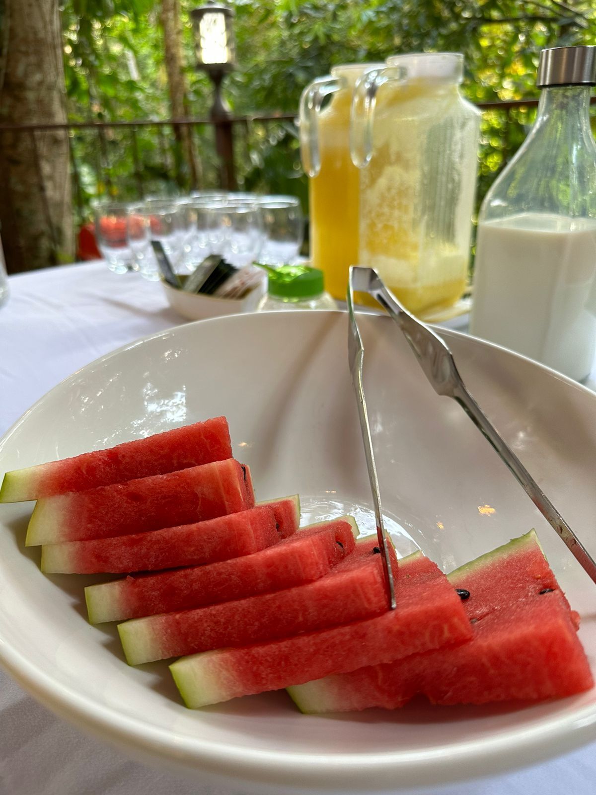 A plate of watermelon slices on a white plate with a metal fork, a pitcher of lemonade, and a bottle of milk in the background.