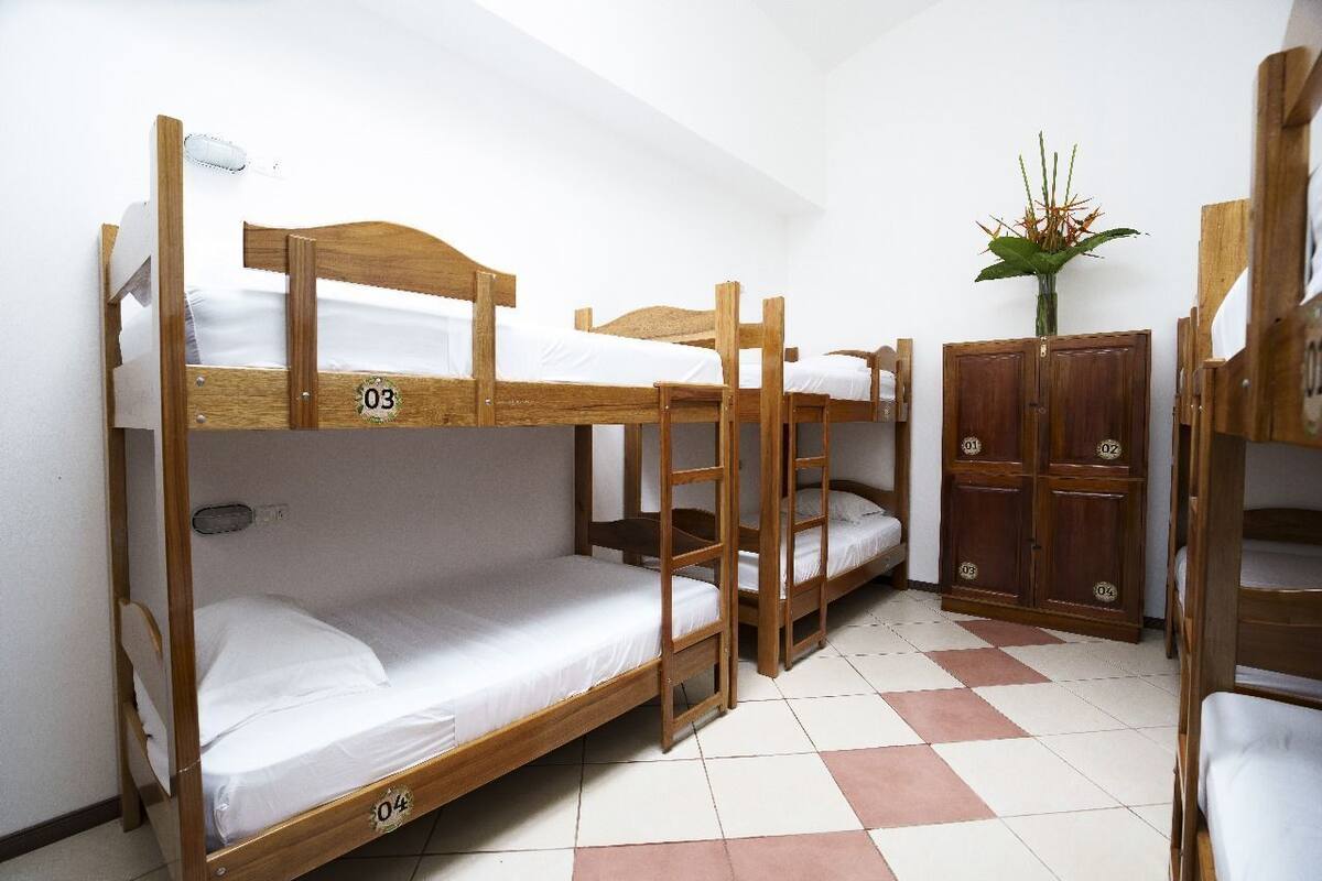 A dormitory room with bunk beds, numbered storage cabinets, and a potted plant.