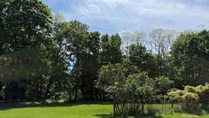 A grassy field with trees and a clear sky.