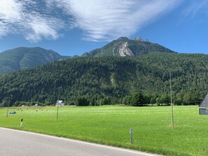 Miscellaneous - Cozy house in the Dolomites a few kilometers from the slopes and the National Park. (Veneto)