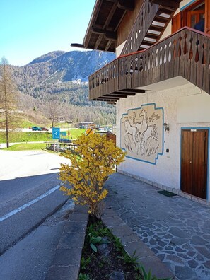 Exterior detail - Cozy house in the Dolomites a few kilometers from the slopes and the National Park. (Veneto)
