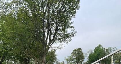 3-bedroom house in Rochester with a fenced back yard, AC, WiFi