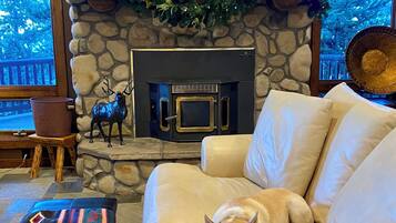 Télévision, cheminée, livres