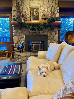 TV, fireplace, books