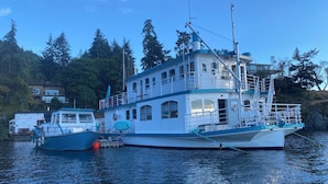 A large, multi-deck houseboat docked at a pier with a clear view of the surrounding forest and a residential area in the background.