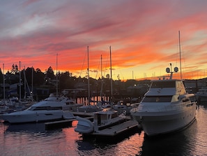 Marina - Flagship - Floating Hotel, offers Paddle boards, kayaks. crabbing and much more (Nanaimo)