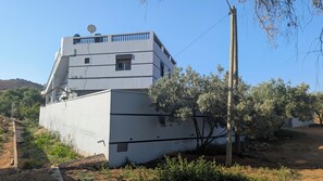 Eksteriør