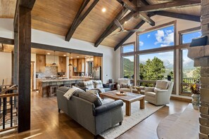 TV connectée, cheminée, jeux vidéo, chaîne hi-fi