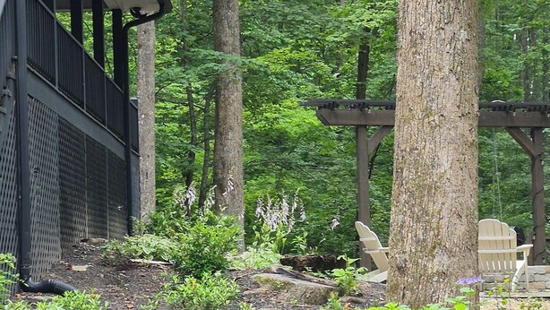 A forested area with a building featuring a covered porch and a wooden deck. -  Welcome to mountain retreat in the tranquil beauty of Rabun County! (Clayton)