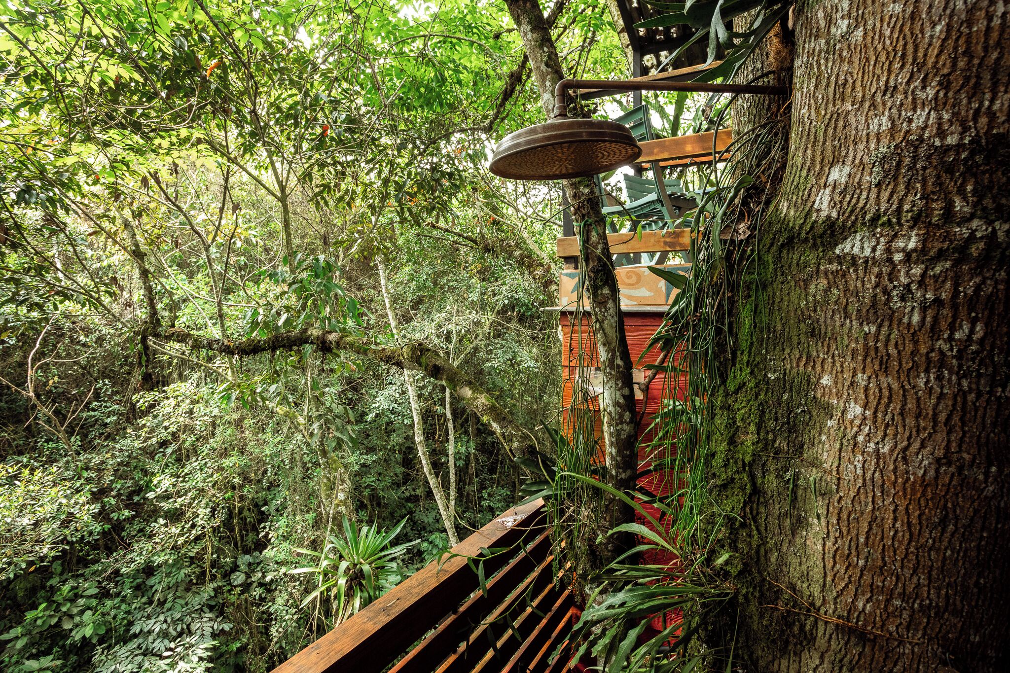 ファミリー ツリーハウス バルコニー マウンテンビュー | バスルーム | タオル、石鹸、シャンプー、トイレットペーパー