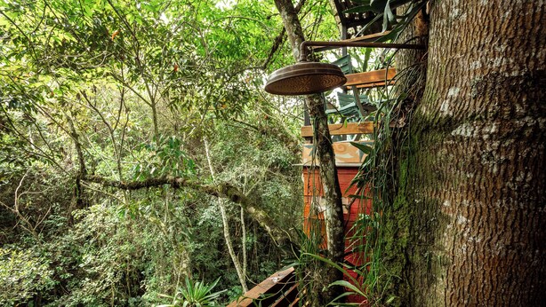 A wooden bridge in a lush forest with a metal lamp post. - Tominejo Ecolodge (Neira)