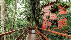 A wooden bridge leading to a red building surrounded by dense forest. - Tominejo Ecolodge (Neira)