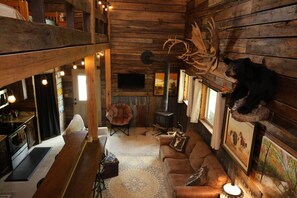 Smart TV, fireplace, books