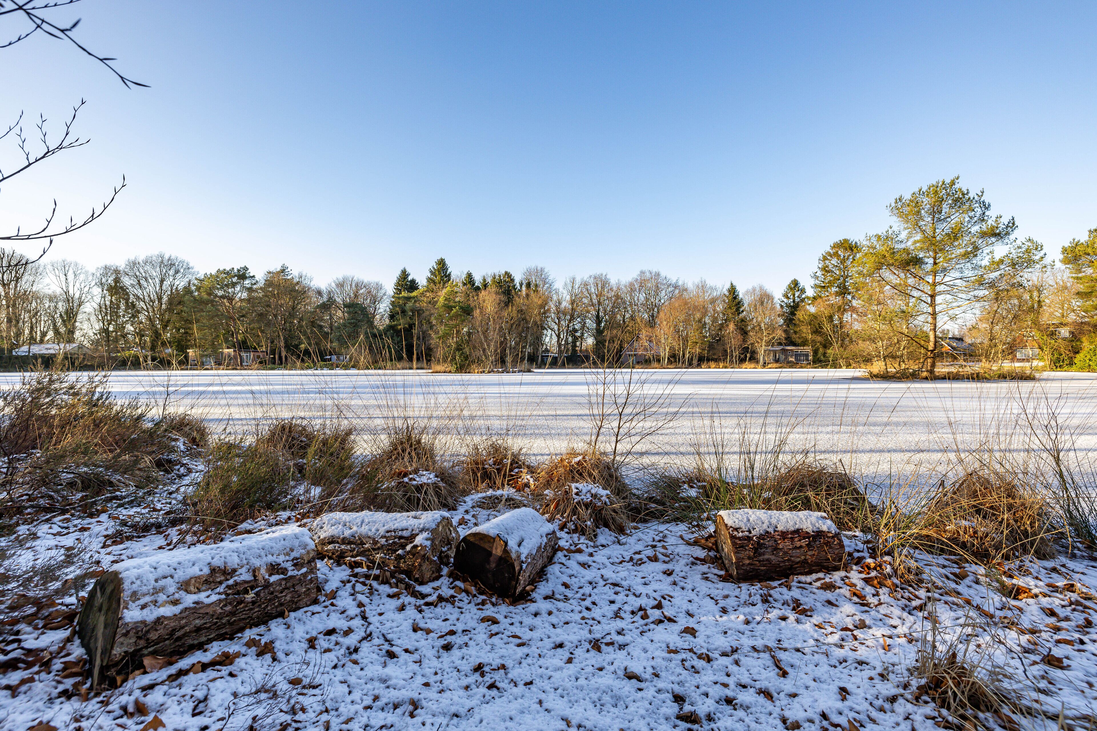 View in winter