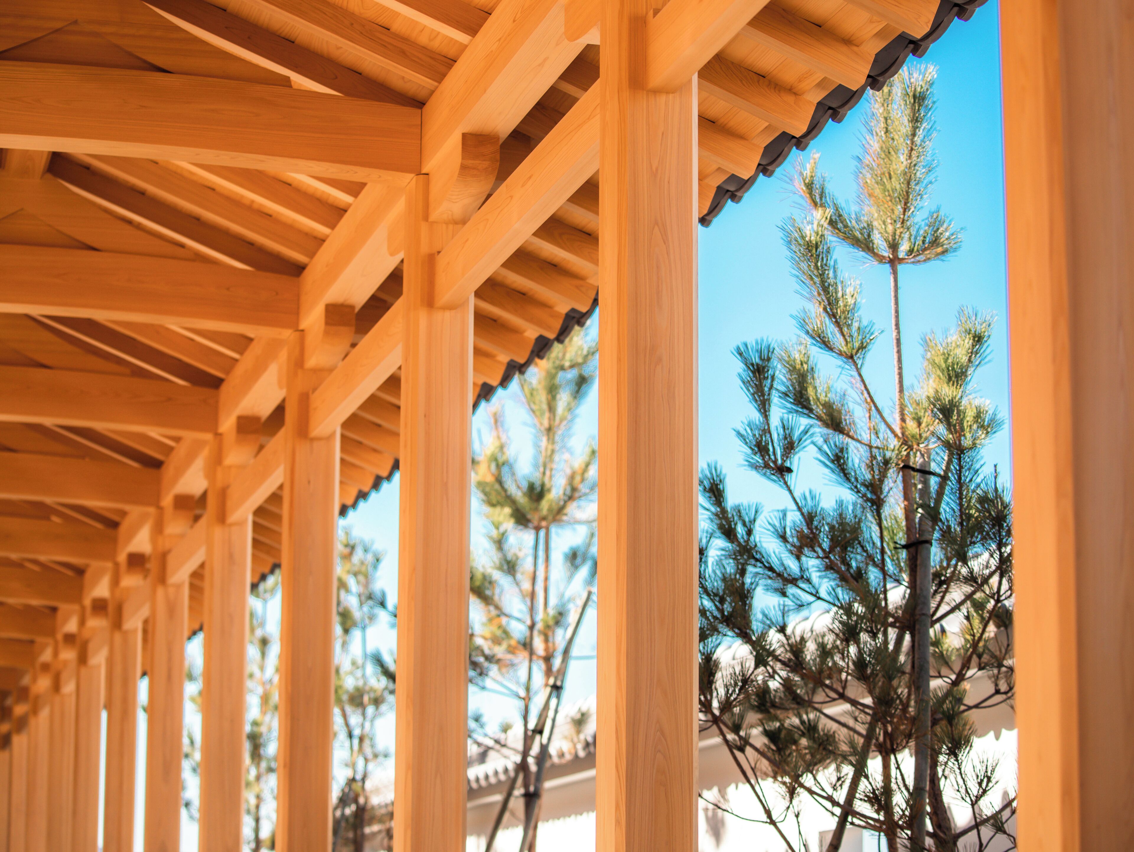 Una estructura de pérgola de madera con vistas despejadas a pinos.