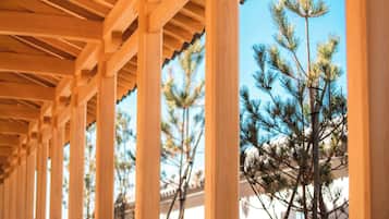 A wooden pergola structure with a clear view of pine trees outside.