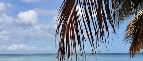Beach nearby, beach towels