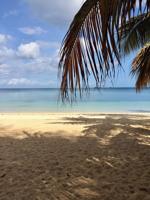 In Strandnähe, Strandtücher