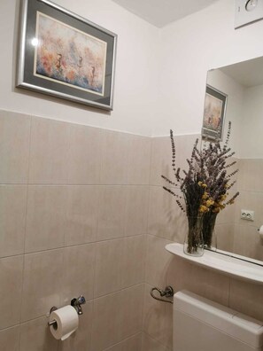 Hair dryer, towels, soap, toilet paper