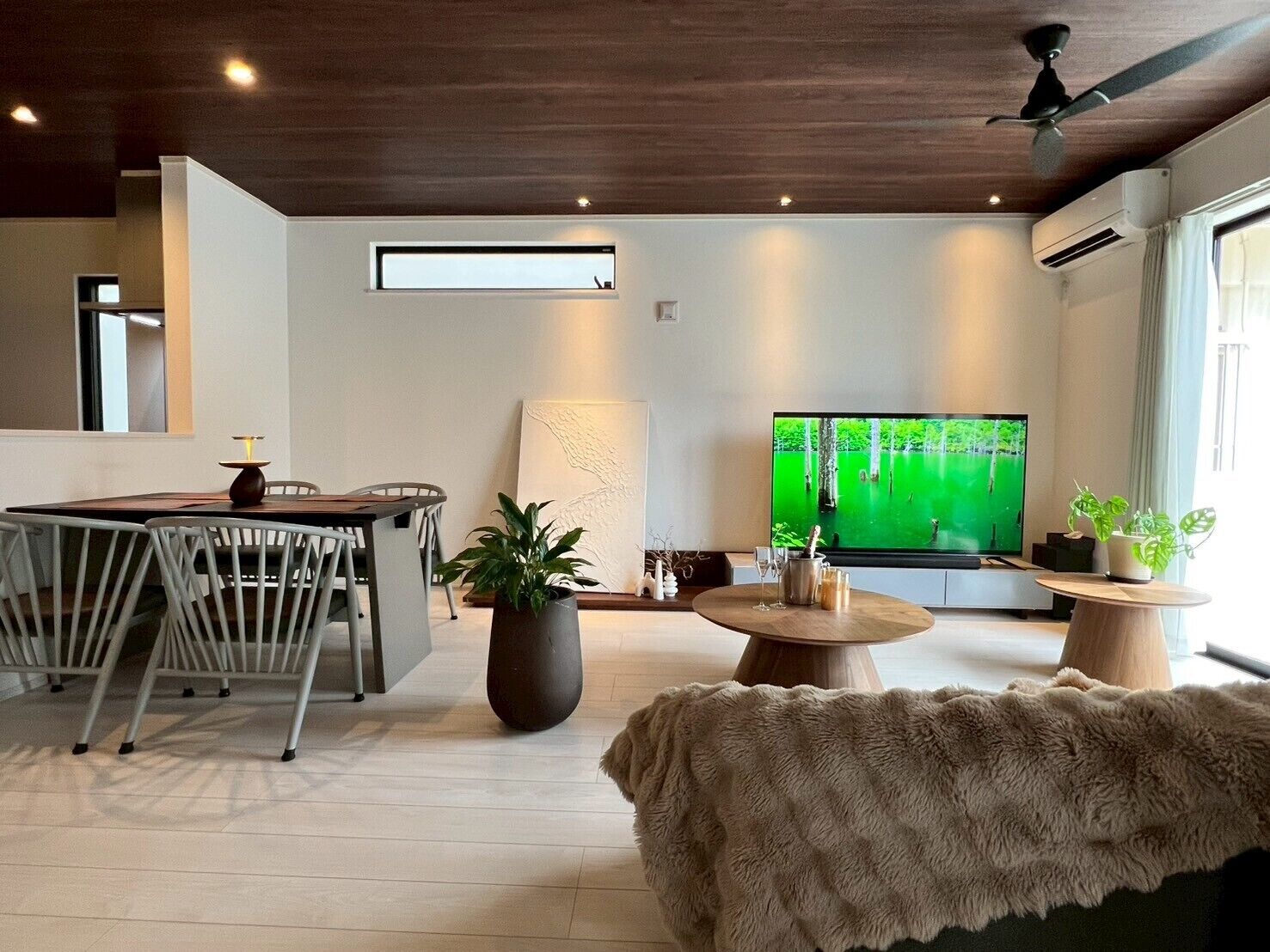 House | Living area | 65-inch Smart TV with digital channels