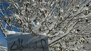 A sign with the text 'Letzwieshof' and 'Ferienwohnungen Appartement' indicating a holiday residence.