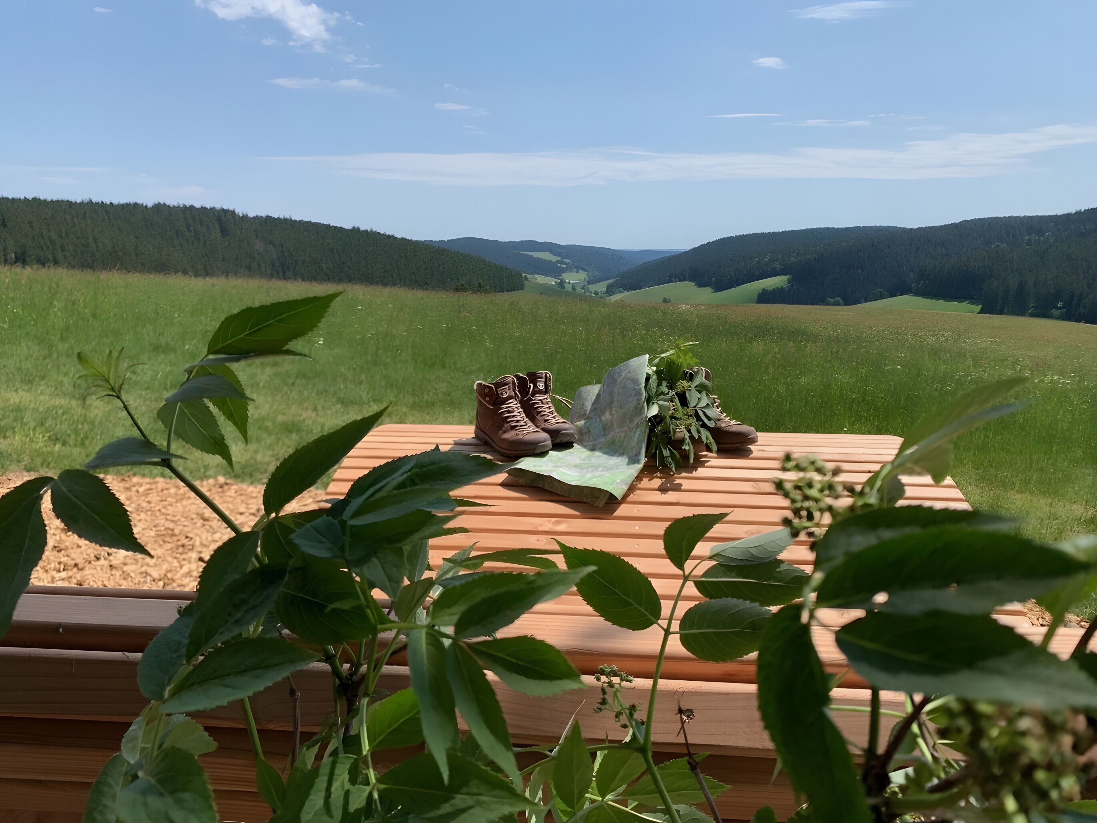A wooden deck with a pair of boots, a map, and a plant.