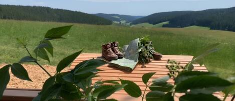 A wooden deck with a pair of boots, a map, and a plant.
