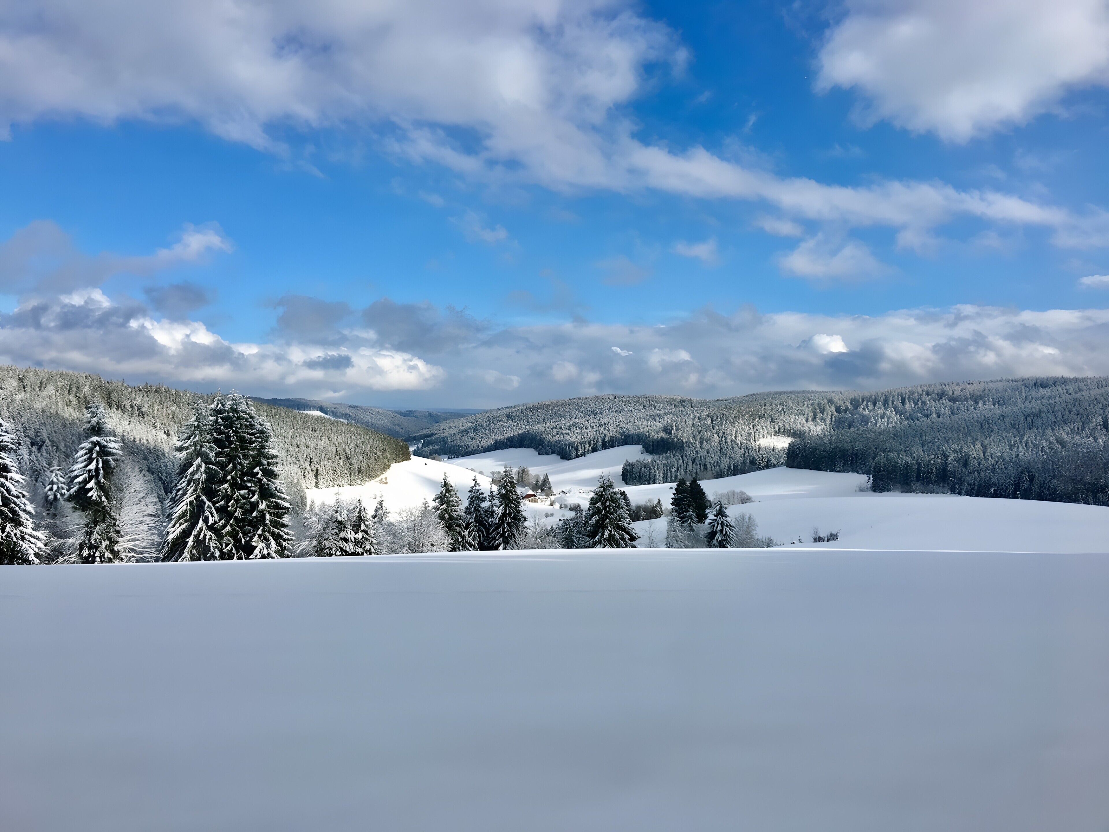 A snowy landscape with trees and a clear sky.